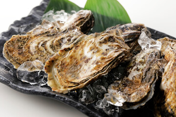 生牡蠣の盛り合わせ(北海道厚岸産)　Oyster platter