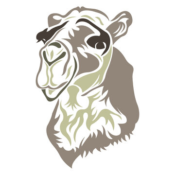 Brown Lama muzzle silhouette drawn by various lines. Design is suitable for decoration, mascot, cards, icons, albums, camel logos, tattoos, banners, printing on t-shirts or clothes. Isolated vector