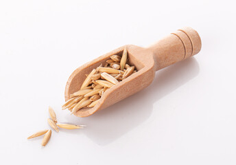 oat grains in a wooden spoon isolated on a white background