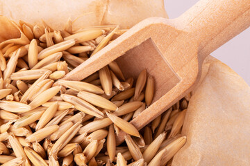 oat grains in a wooden spoon on the background of scattered oat grains