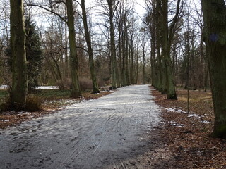 Droga zimowa w parku