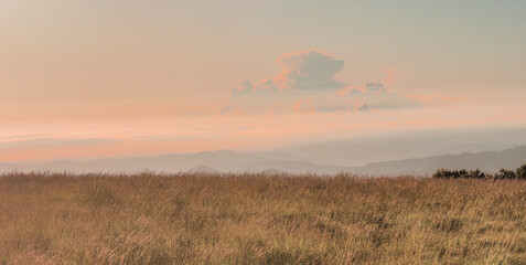 Apeniny , region Emilia Romagna Park narodowy Campigna we Wloszech © Piotr