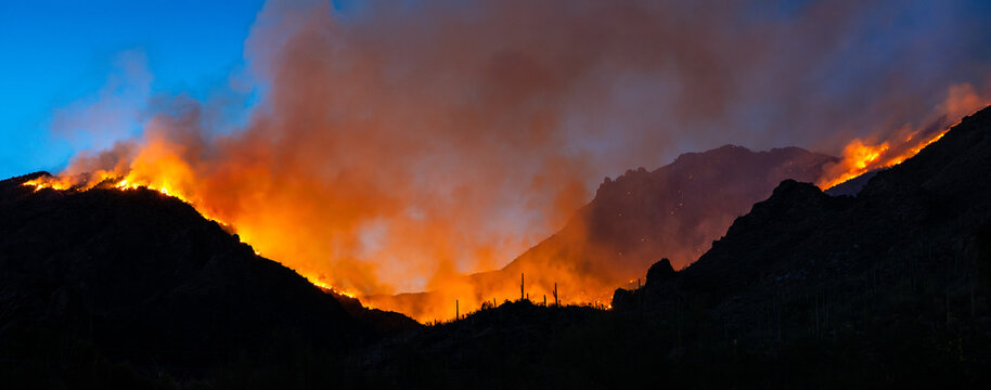 Bighorn fire in Tucson Arizona