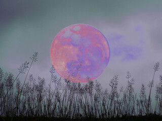 dramatic night sky with full moon and meadow for halloween background.