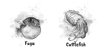 Aquarelle painting of fish sketch art illustration © NATALIIA TOSUN