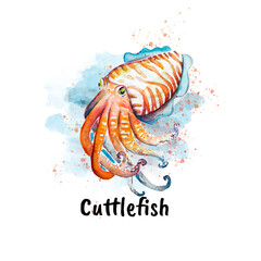 Aquarelle painting of fish sketch art illustration © NATALIIA TOSUN