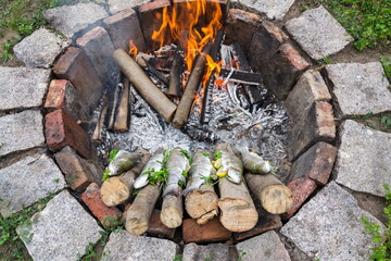 Trouts filled with herbs, seasoning and lemon wired on sticks lying on the edge of fire, outdoors camping survival