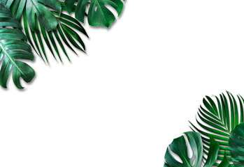 Tropical leaves on white background
