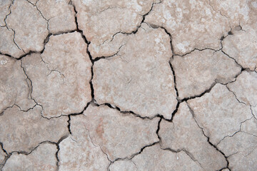 the land is cracked by the drought. soil erosion. bad ecology. the concept of bad ecology