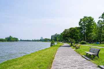緑豊かな水元公園