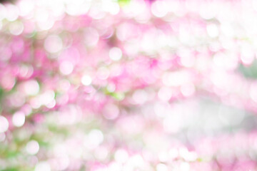 Blurred botanical background with pink, green, yellow sparkles and bokeh effect. Copy space with blurred shining waterdrops, natural background