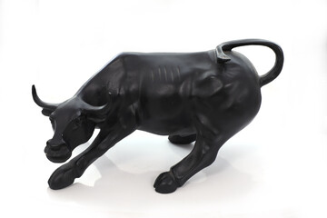 black bull on white background