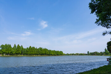 都立水元公園