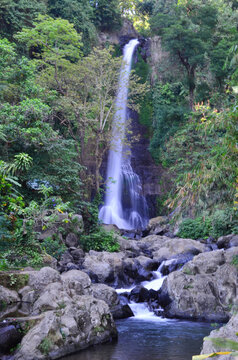 Gitgit Waterfall is a waterfall on Bali, Indonesia. The Gitgit waterfall consists of three waterfalls of different heights.