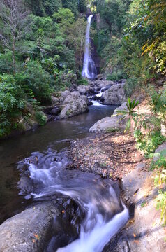 Gitgit Waterfall is a waterfall on Bali, Indonesia. The Gitgit waterfall consists of three waterfalls of different heights.