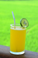 A glass of fresh orange juice with a slice of lime on the glass tip, with the paddy field background.