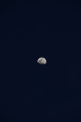 Half Moon Background / The Moon is an astronomical body that orbits planet Earth, being Earth's only permanent natural satellite