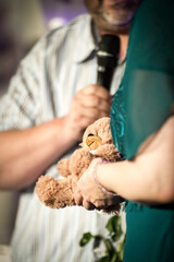 Teddyb&auml;r Maskottchen