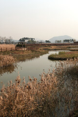 Ecological park. Gaetgol Eco Park in Siheung-si, South Korea.
