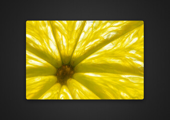 lemon close-up / background photo of Passepartout
