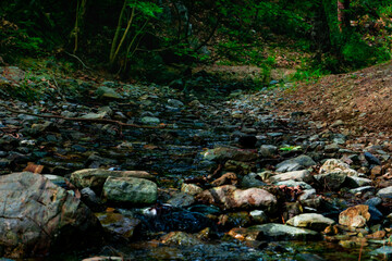 Moody dark stream with colorful rocks in the forest