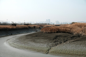 Ecological park. Gaetgol Eco Park in Siheung-si, South Korea.
