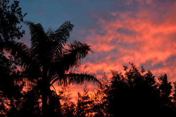Colores del atardecer