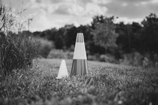 Big and Small Traffic Cones in Grass