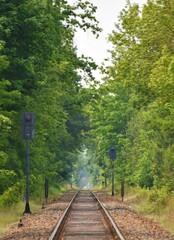 railway along deciduous forest