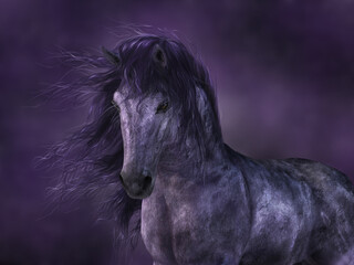 Fototapeta na wymiar Dark Horse by Moonlight