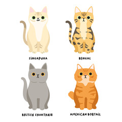 Set of adorable cat breeds in flat style : Vector Illustration