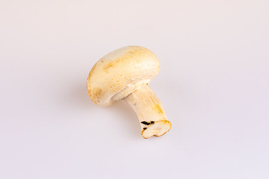A white bio mushrum, not perfect