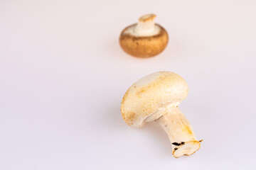 A white and a brown bio mushroom, not perfect with copyspace