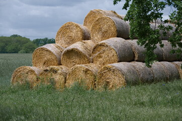 Strohballen bei Teltow, Ortsteil Ruhlsdorf