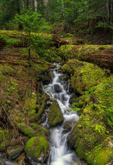 Small Waterfall Above Paradise River At Mount Rainier National Park