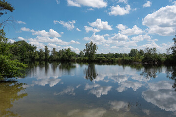 Reflection of trees and plants the blue sky and clouds in the lake