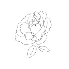 Botanical minimalist style vector illustration for print. Modern one line drawing. Rose, peony flower continuous line tattoo art