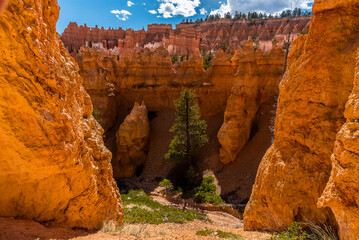 A view looking back up towards the rim of Bryce Canyon, Utah