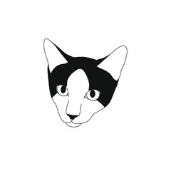 Cat head drawing in minimalist style for tattoo. Simple and stylish pet vector illustration