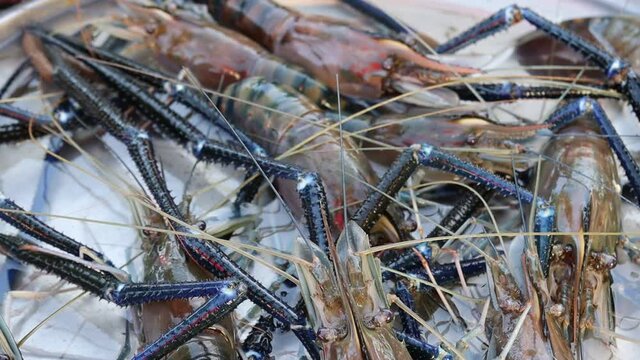 Shrimp still alive in stainless steel tray for sell in flea market Thailand.