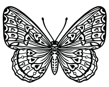 Black and white decorative butterfly, creative concept, linear drawing, silhouette, isolated vector illustration on white background. Image with an insect for stencil, tattoo, stamp and other designs.