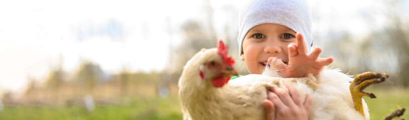 cute little four year old kid boy holding in hands a white chicken in nature outdoor. banner