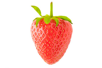 Isolated strawberry. Strawberry fruit isolated on white background with clipping path