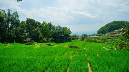 A beautiful view of the ancient volcano in Yogyakarta