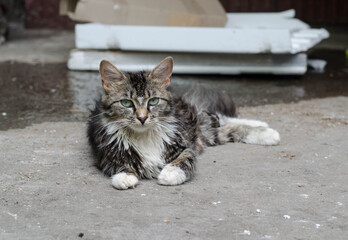 Fototapety na wymiar - Fototapeta24.pl