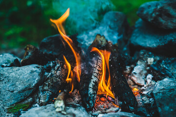 Vivid smoldered firewoods burned in fire close-up. Atmospheric warm background with orange flame of...