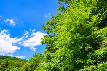さわやかな開田高原の山と空