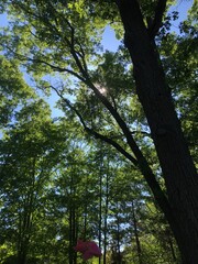 Life is happening now