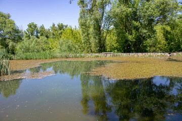 Fototapeta na wymiar Lake with pure healing water at the Holy Source of St. Nicholas the Wonderworker.