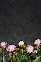 Black background with pink peonies. vertical layout